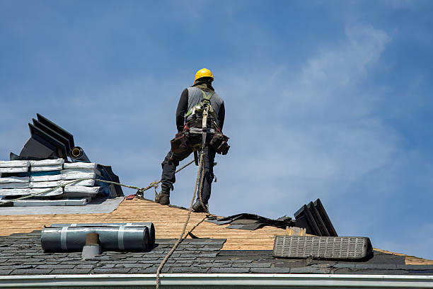Professional Roof Replacement technician working in Canby, MN